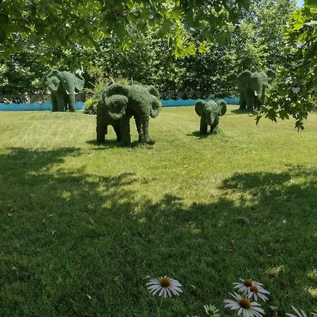 Messembria Palace Bulgaria * 써니비치